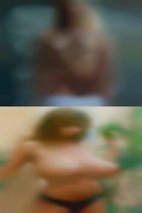 Lacysprovieri, sluts in